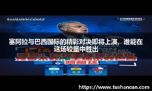 三亿体育