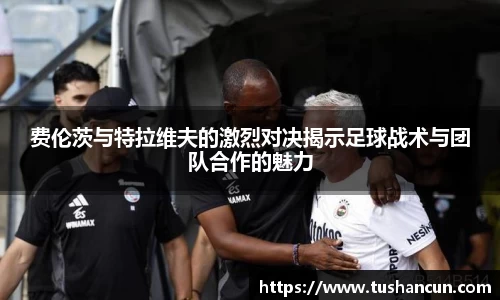 三亿体育