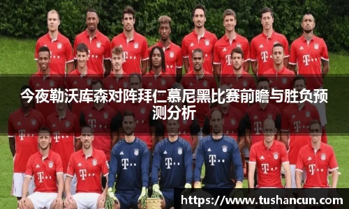 三亿体育官网