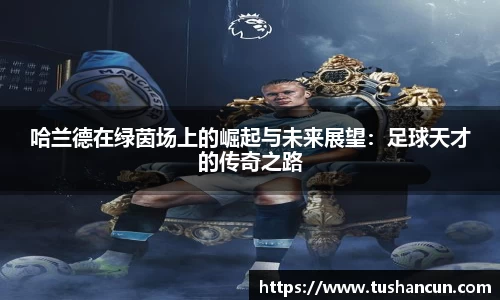 三亿体育平台