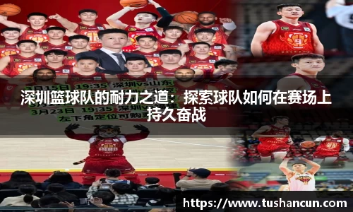 三亿体育APP