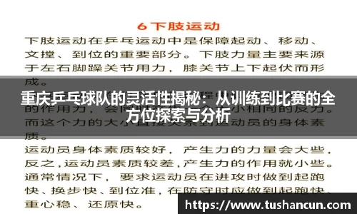 三亿体育平台