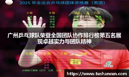 三亿体育APP
