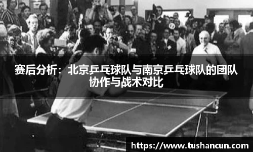 三亿体育