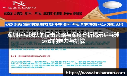 三亿体育官网